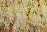 Polished Bella Vista Agate Slab - Oregon #371200-1
